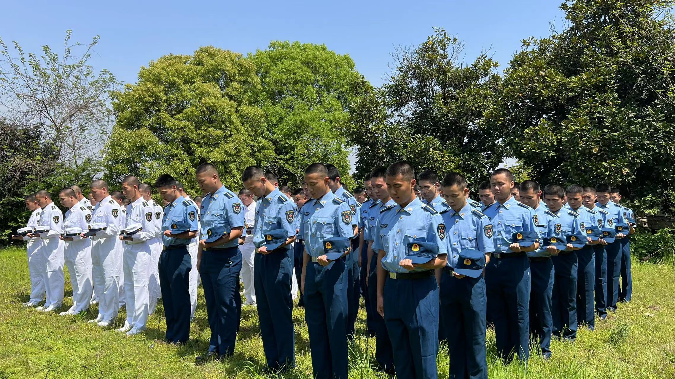 1649498531724339.jpg 1649498531724339.jpg