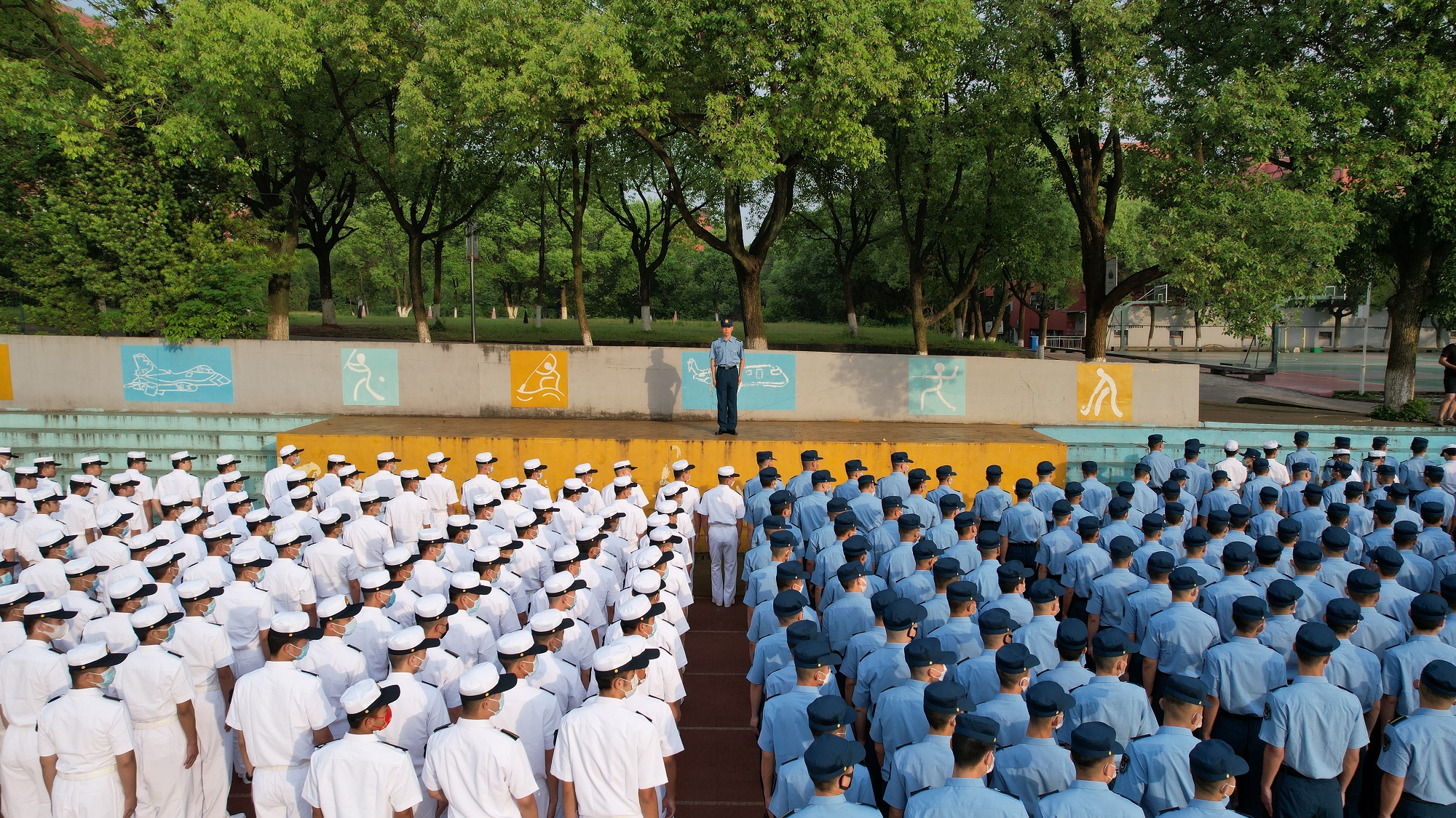 1653019270549496.jpg 1653019270549496.jpg