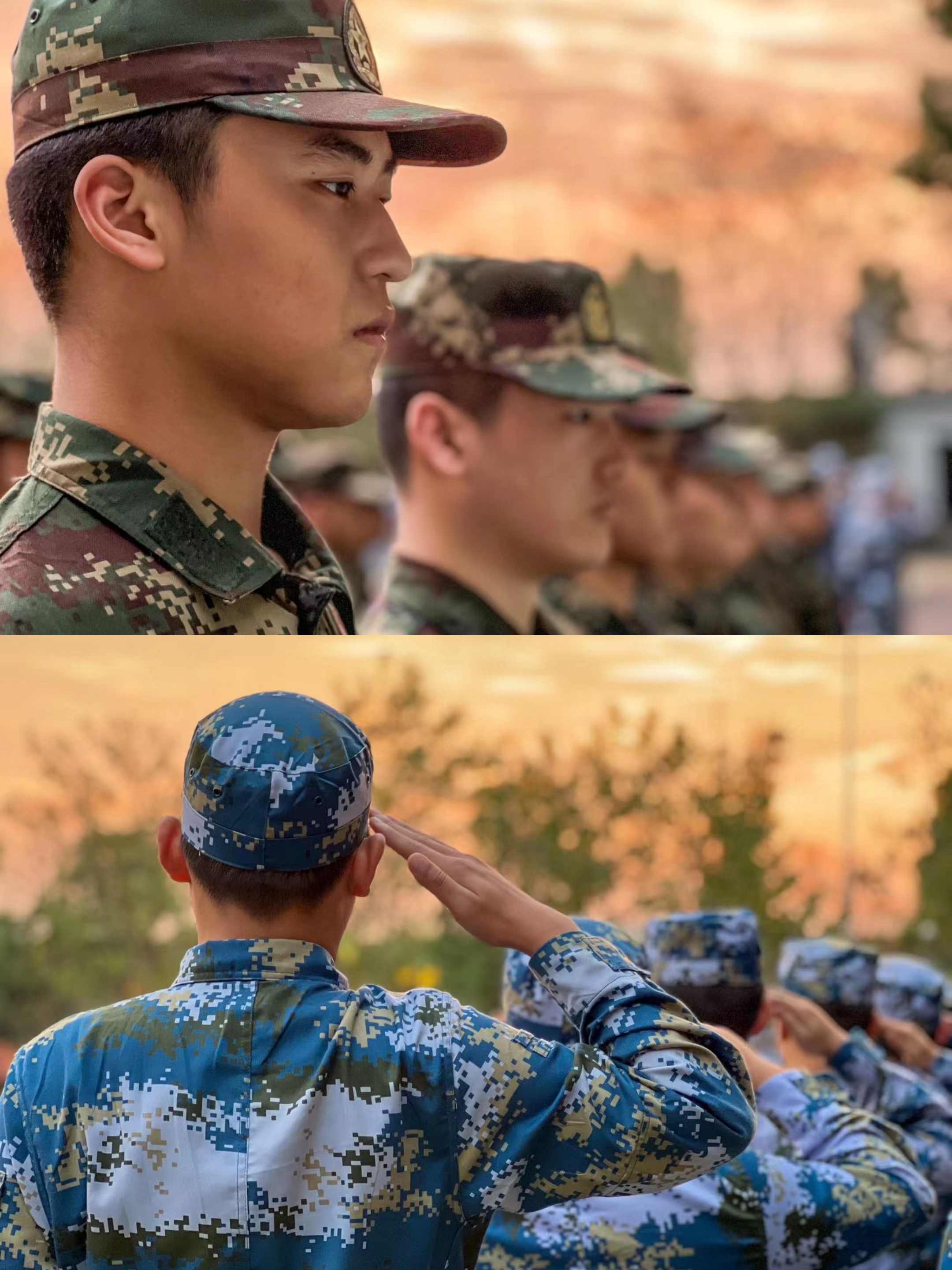 1666605179581664.jpg 1666605179581664.jpg