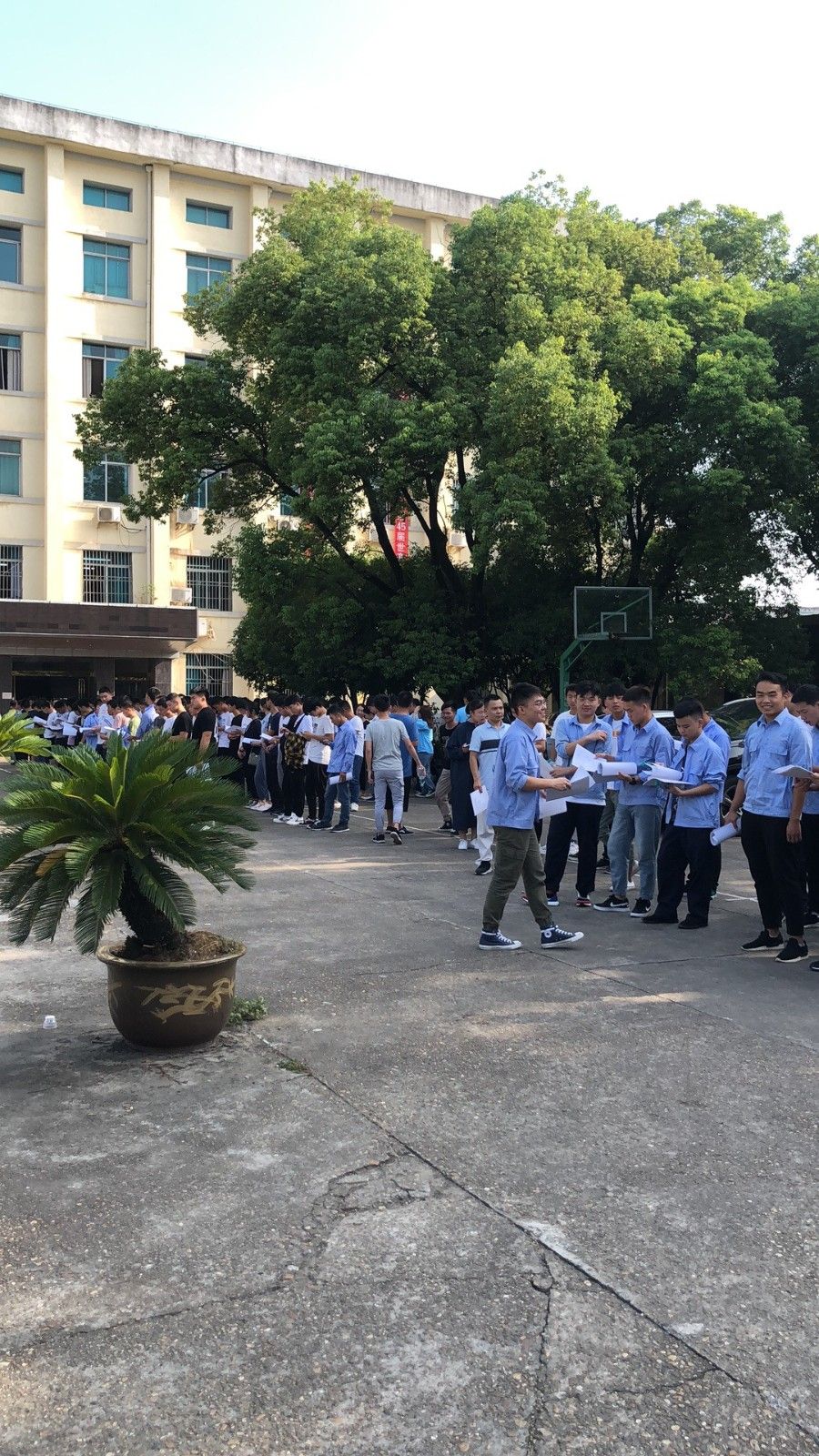 1568247239662057.jpg 2.jpg