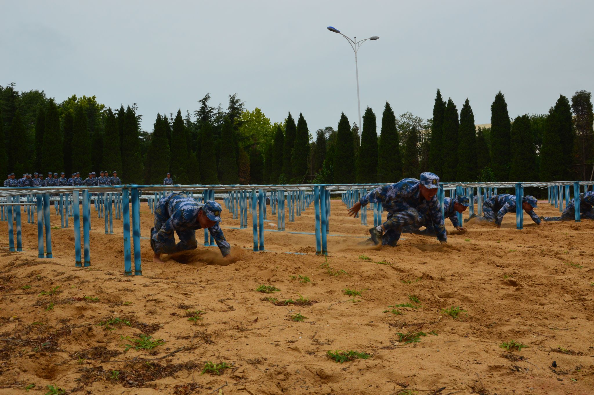 1468774465319952.jpg DSC_1246.JPG