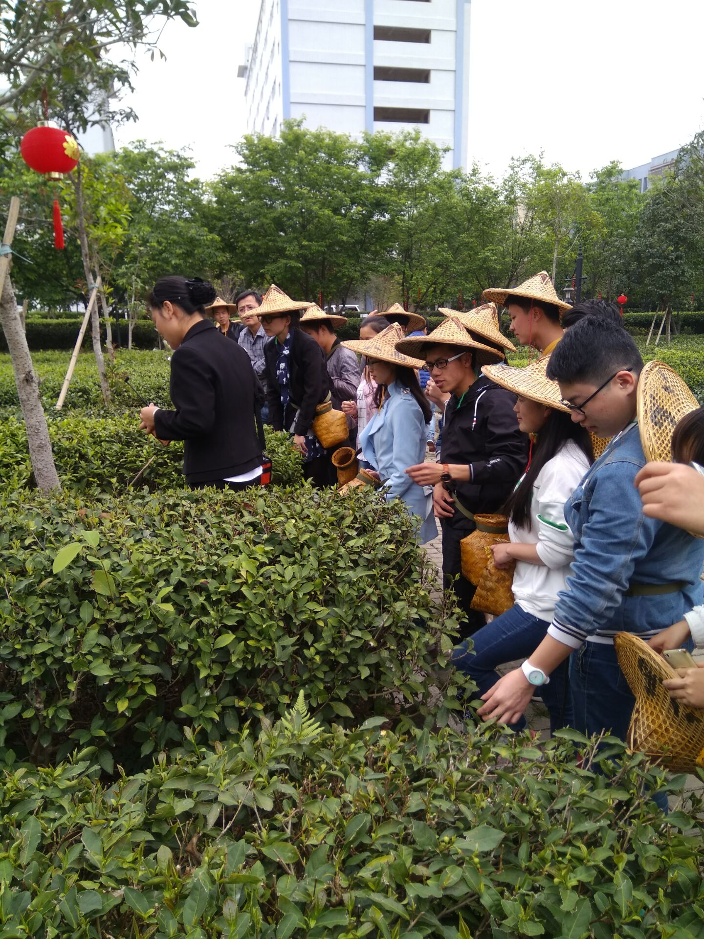 1492351169332390.jpg QQ图片20170416214558.jpg