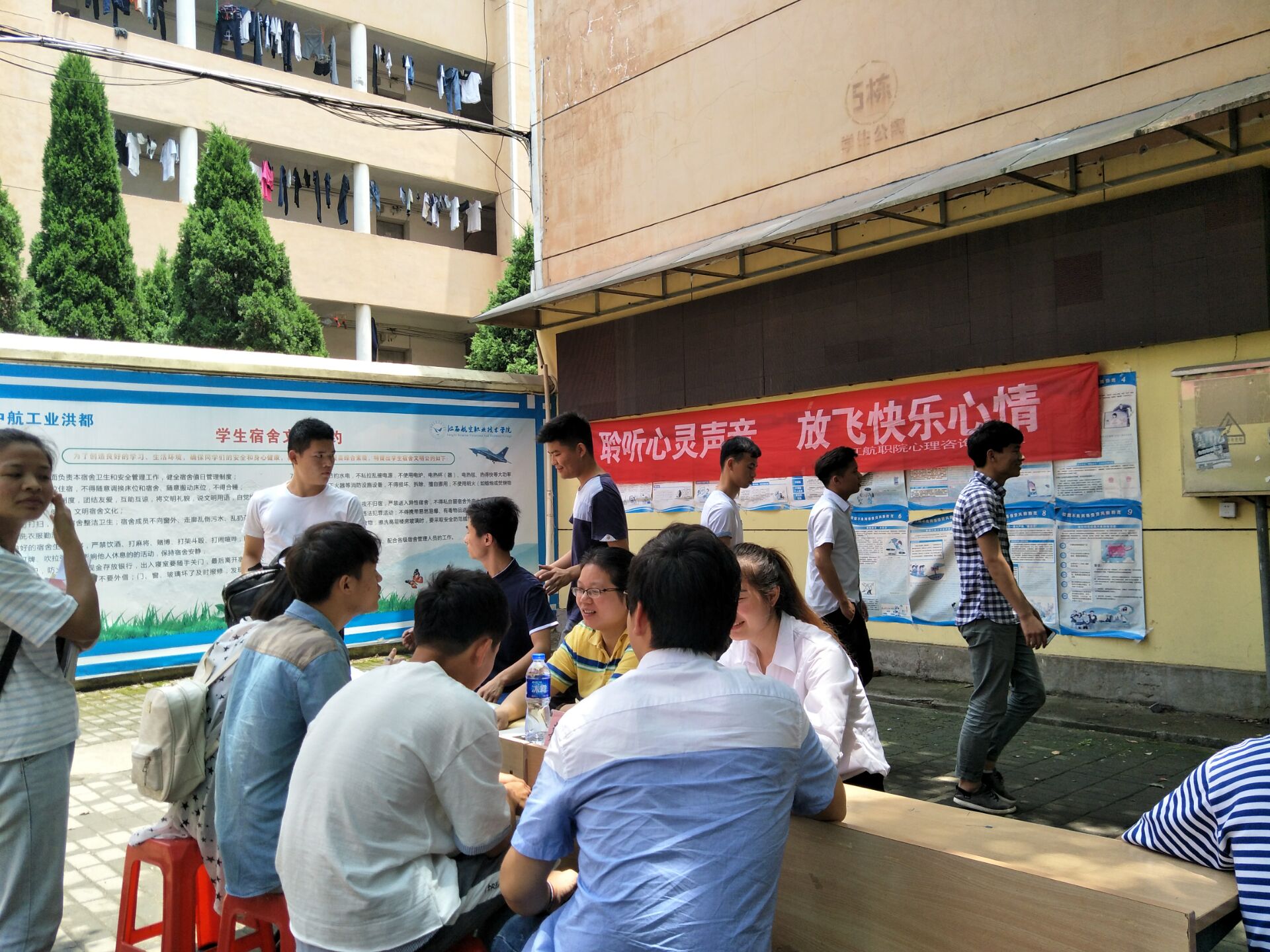 1496412216118005.jpg 6.jpg