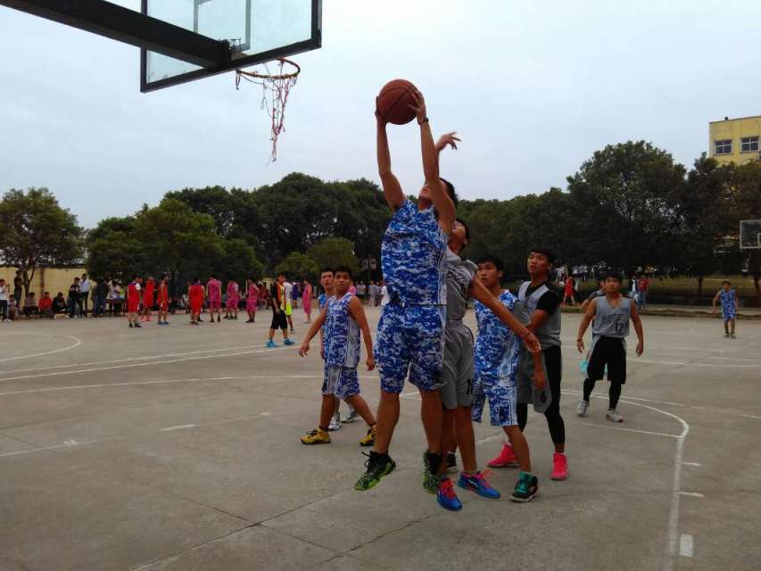 1476283452998010.jpg null70e3d84b0cfd1b59.jpg