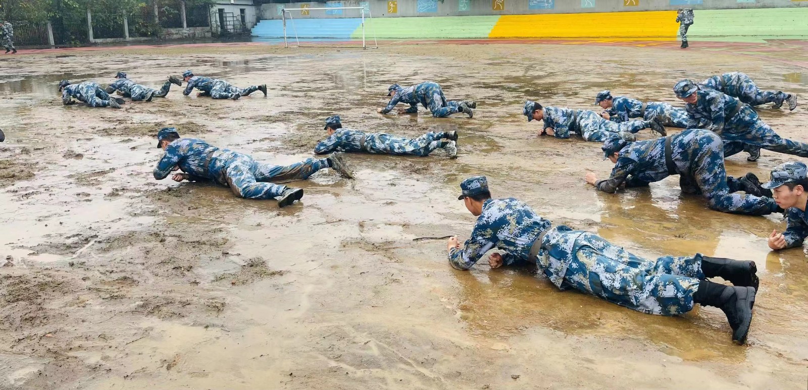 1668936775257582.jpg 1668936775257582.jpg