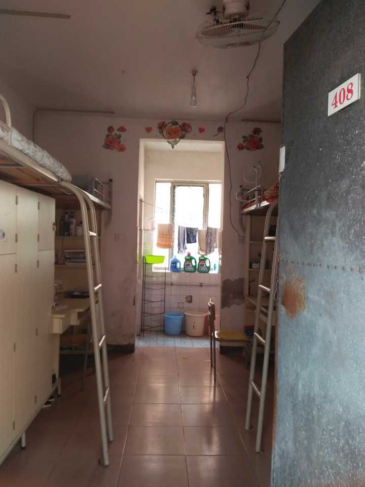 1490276475112911.jpg 31154252D49F18A63E03B97F3DE3F147.jpg