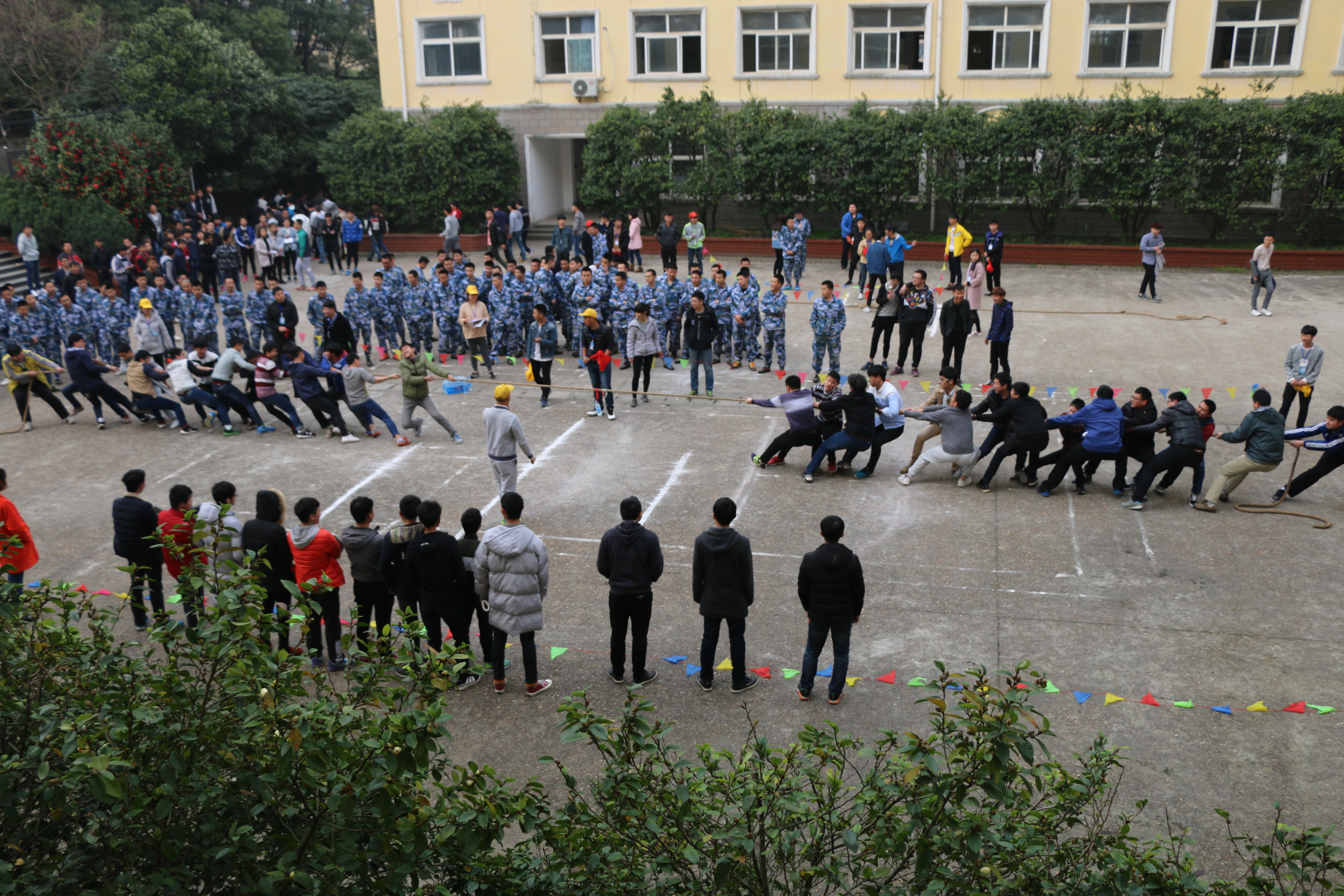 1488894008629554.jpg IMG_4951.JPG