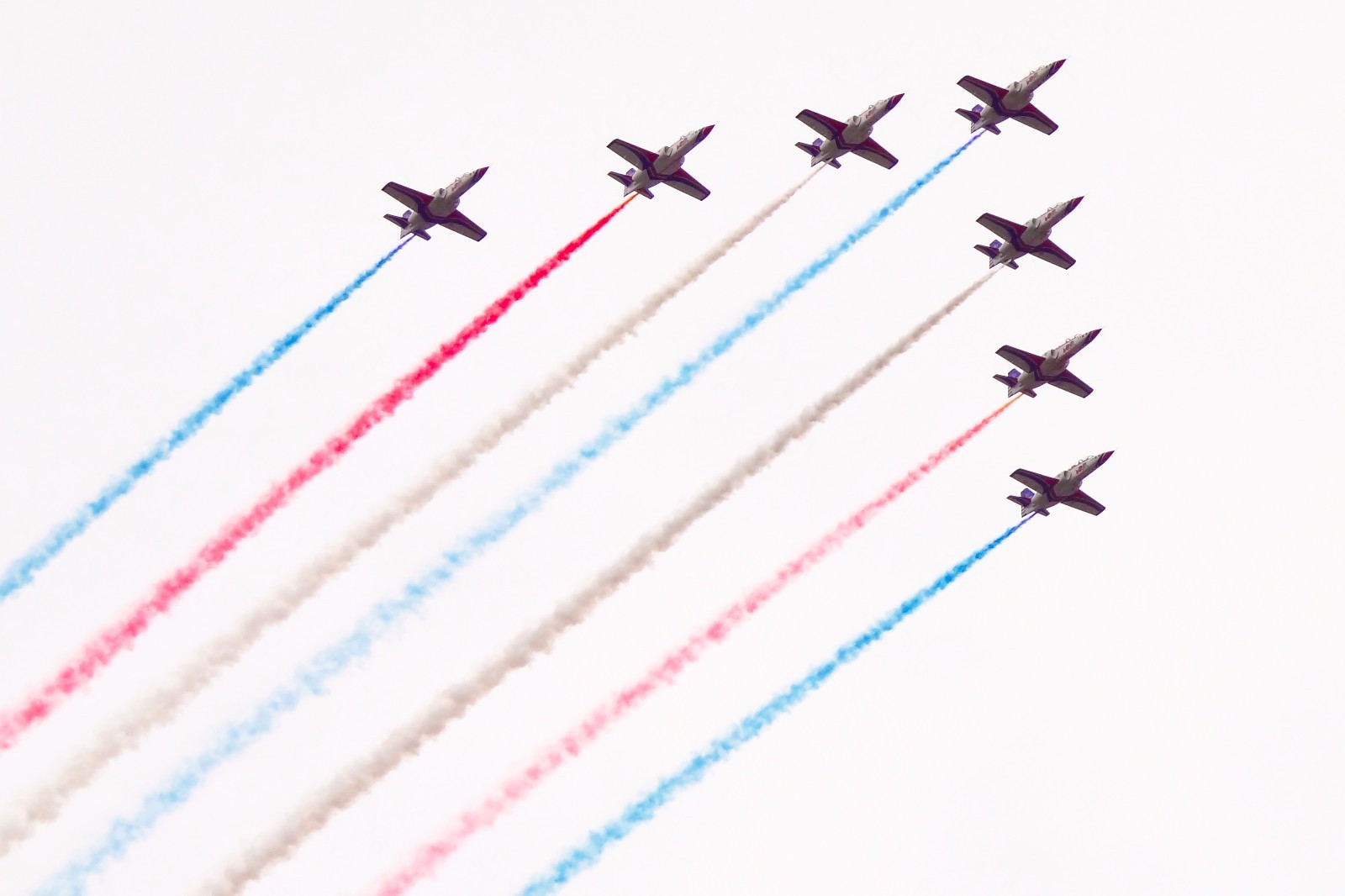 500450957.jpg 500450957.jpg