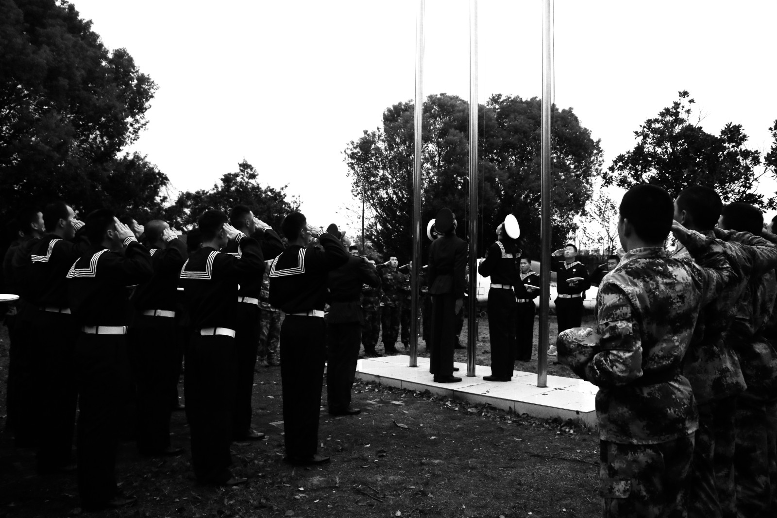 1669988059499727.jpg 1669988059499727.jpg