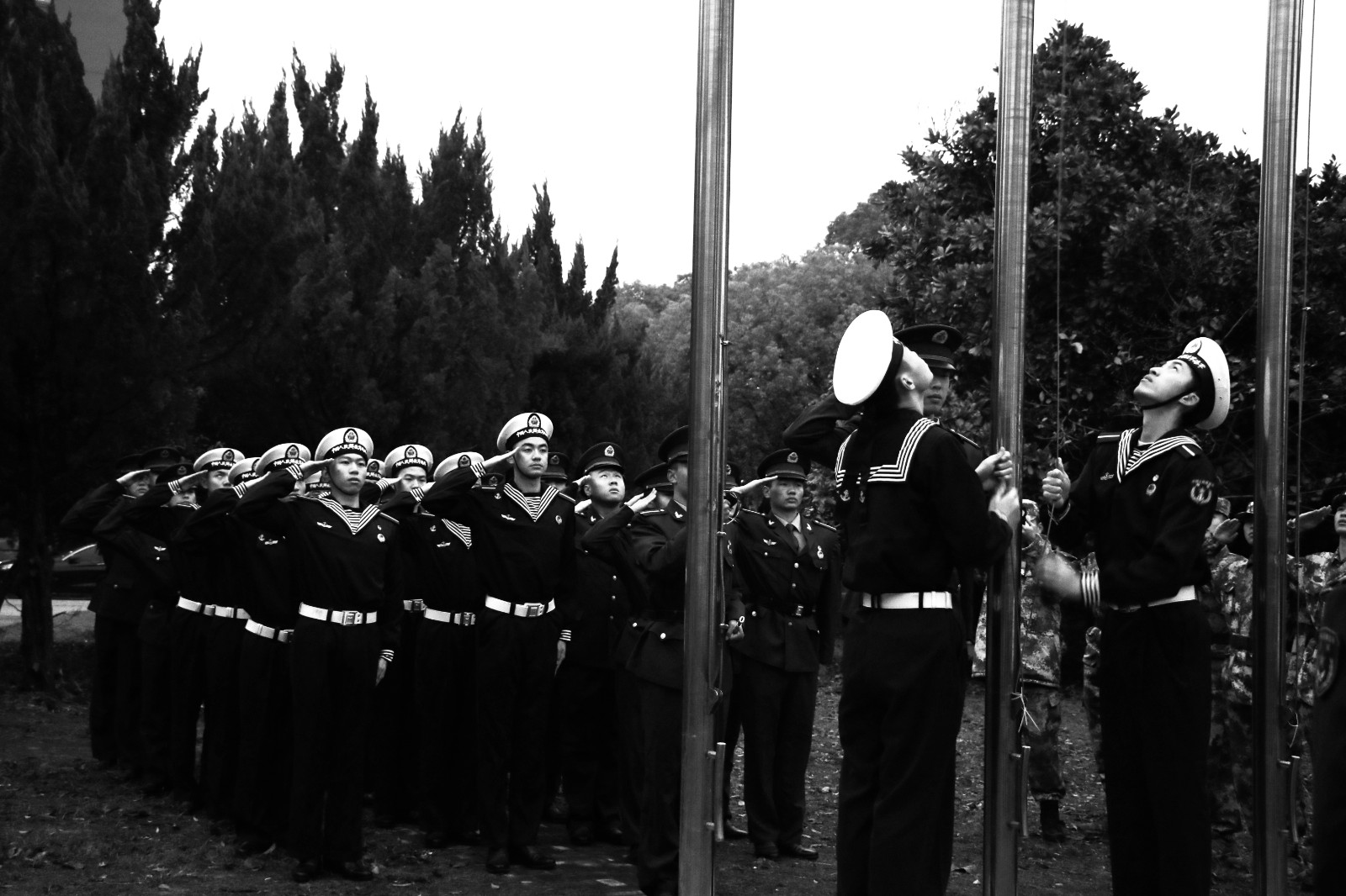 1669988059972269.jpg 1669988059972269.jpg