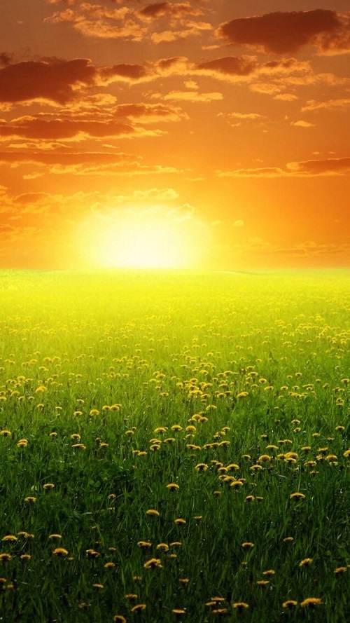 1490579665456945.jpg 3月IMG_9779.JPG