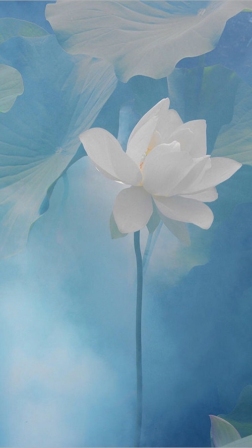 1490579720114552.jpg 3月IMG_9777.JPG