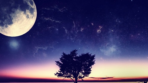 1493025206874835.jpg 24.jpg