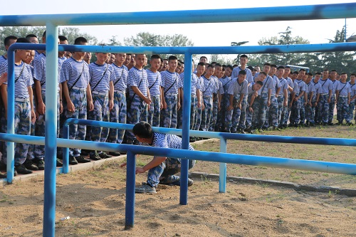 1499828548226744.jpg IMG_8287.JPG