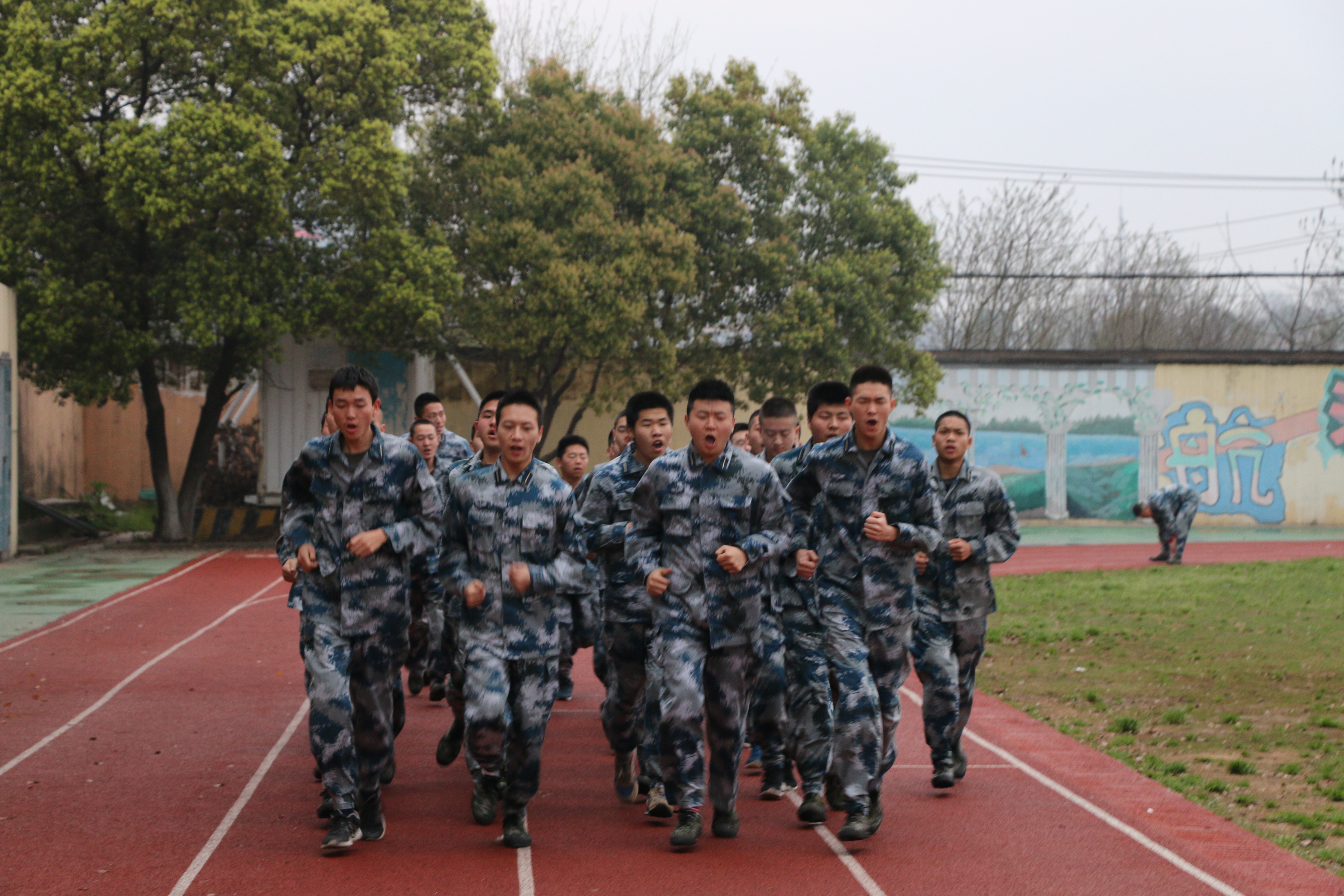 1491484245787713.jpg IMG_5410.JPG