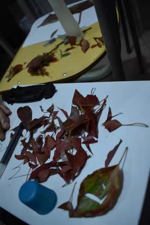 1616400620912815.jpg 5.jpg