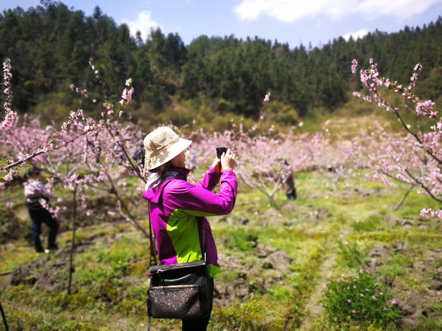 1554176141818442.jpg 微信图片_20190402113059.jpg